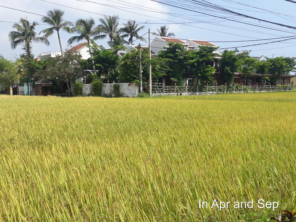 Hoi An Chic - Green Retreat Eksteriør bilde